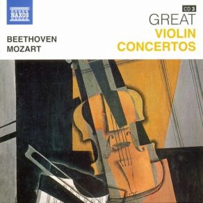 Download track Beethoven: Violin Concerto In D Major: II. Larghetto Takako Nishizaki, Capella Istropolitana, Slovak Philharmonic Orchestra