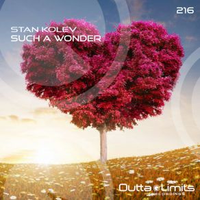 Download track Such A Wonder (Dub Mix) Stan Kolev