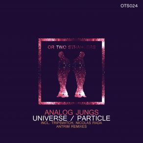 Download track Particle (Original Mix) Tripswitch, Nicolas Rada, Antrim, Analog Jungs