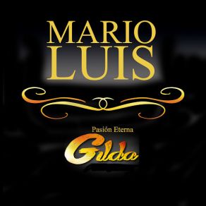 Download track Un Amor Verdadero (En Vivo En Pasión) Mario Luis