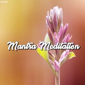 Download track Relaxing Mantra, Pt. 9 Mantra Ho'oponopono