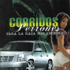 Download track La Orden Los Buchones De Culiacan