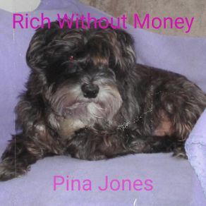 Download track Thankfulness 2 Pina Jones