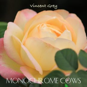 Download track Years By Years Monochrome Cows