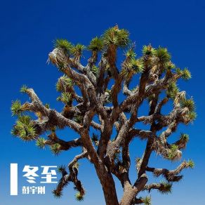 Download track 今天就是冬至了 彭宇刚