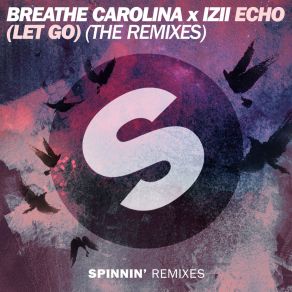 Download track Echo (Let Go) (SAM F Remix) Izii