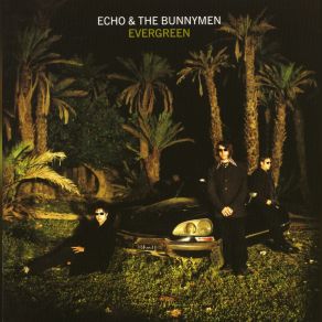 Download track Forgiven (BBC GLR Robert Elms Acoustic Session, 1997) Echo & The Bunnymen