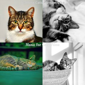 Download track Memories (Sleeping Cats) Music For Cats Vibes