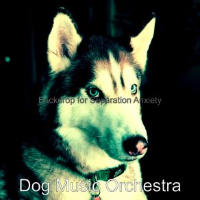 Download track Sunny Music For Background Music Dog Music Orchestra