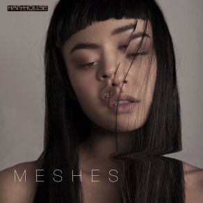 Download track Privet / Hello Meshes