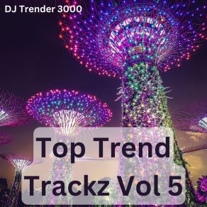 Download track LDR (Tik Tok Instrumental Tribute Version Originally Performed By Shoti) DJ Trender 3000