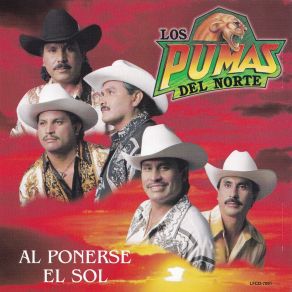 Download track De Sur A Norte Los Pumas Del Norte