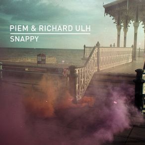 Download track Snappy (Alan Nieves Remix) Richard UlhAlan Nieves