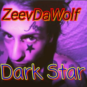 Download track Joy And Pain ZeevDaWolf