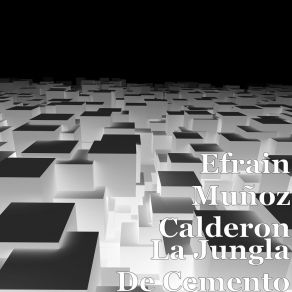 Download track El Inmigrante Efrain Muñoz Calderon