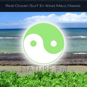 Download track Relaxing Pacific Ocean Sounds Deep Sleep