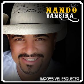 Download track Fonte De Inspiração Nando Vaneira