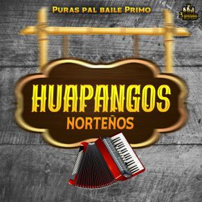 Download track El Solteron Huapangos Norteños