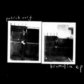 Download track Trust Patrick Wolf