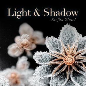 Download track Light & Shadow Pt. 2 Stefan Zintel