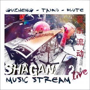 Download track Xiao Mao (Guzheng / Live) Shagan