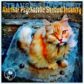 Download track Another Psychedelic Sensual Insanity 2 Strangers UFO Night