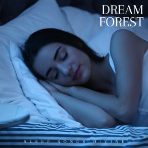 Download track White Noise Sleep Music Sleep Songs Divine