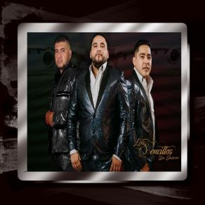 Download track Los Refranes Los Sencillos De Juarez