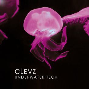 Download track Turning Onion (Peach Juice) Clevz