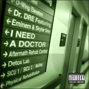 Download track I Need A Doctor (Main Dirty) Dr. Dre, Skylar Grey, Eminem