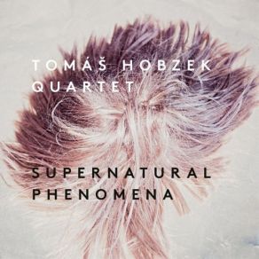 Download track The Adventurer Tomáš Hobzek Quartet