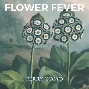 Download track If There Is Someone Lovelier Than You Perry Como