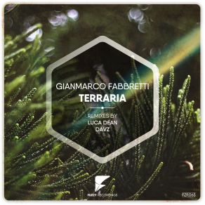 Download track Terraria (Luca Dean Remix) Gianmarco Fabbretti