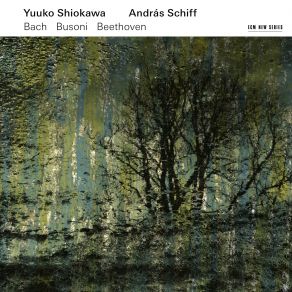 Download track Sonata No. 10 In E Minor, Op. 96: 1. Allegro Moderato András Schiff, Yuuko Shiokawa