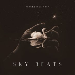 Download track Contack SKY BEATS