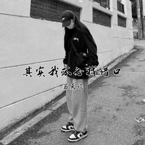 Download track 我自己也不懂得我自己 (Dj版) 苏天伦