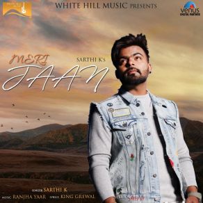 Download track Meri Jaan Sarthi K