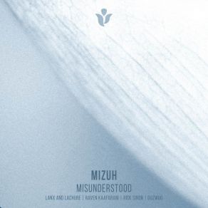 Download track Misunderstood (Lanx And Lachure Mystery Forest Mix) Mizuh