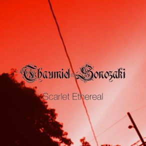 Download track Nos Te Requiret In Aeternum (Without Your Smile...) Thaumiel Sonozaki