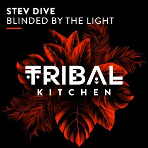 Download track Blinded By The Light (Extended Mix) Stev Dive