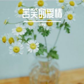 Download track 稻草人在田野 刘婕莉