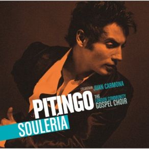 Download track Killing Me Softly With This Song Pitingo