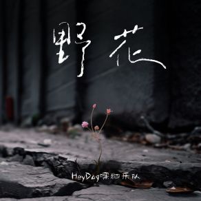 Download track 野花 Hey Dog