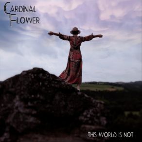 Download track I'll Tell You Know The Sun Rose Cardinal Flower