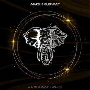 Download track Call Me Marble Elephant