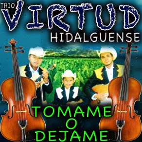 Download track La Petenera Virtud Hidalguense