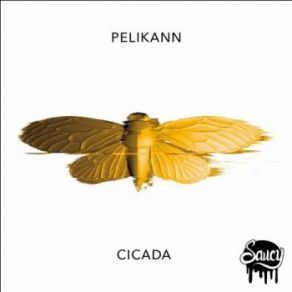 Download track Cicada (Original) Pelikann