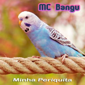 Download track João Benga MC Bangu