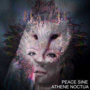 Download track Athene Noctua Peace Sine