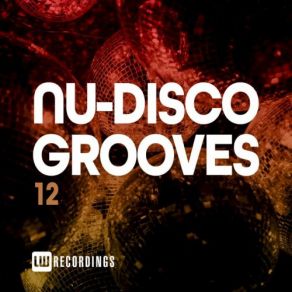 Download track This Groove Disko Junkie